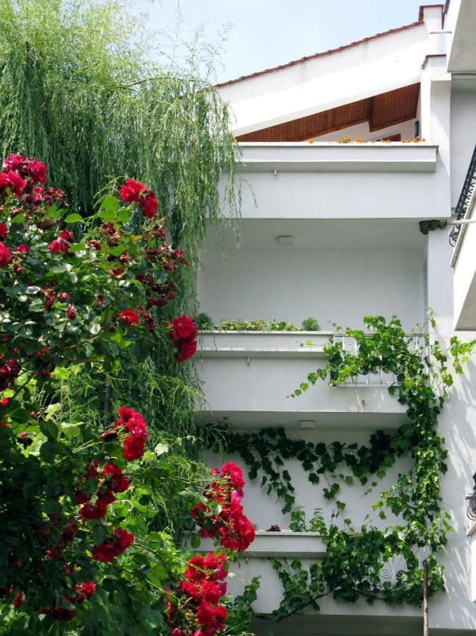Guest House Barbov Obzor Zewnętrze zdjęcie