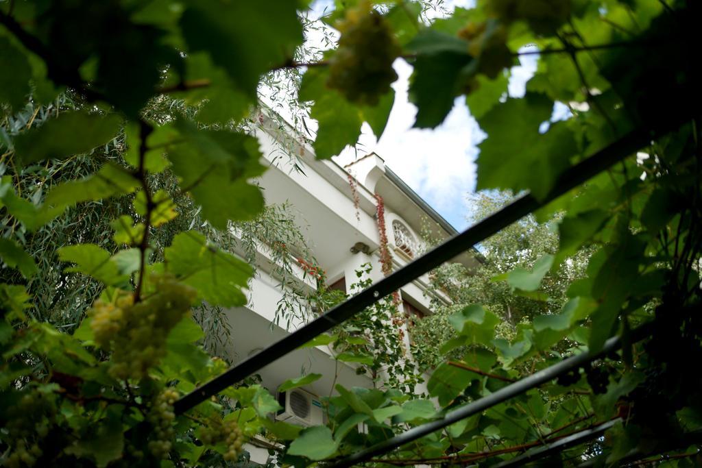 Guest House Barbov Obzor Zewnętrze zdjęcie