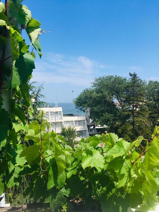 Guest House Barbov Obzor Zewnętrze zdjęcie