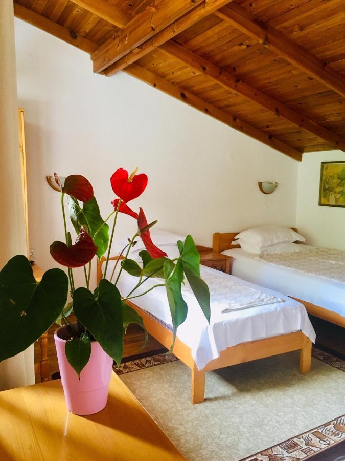 Guest House Barbov Obzor Zewnętrze zdjęcie